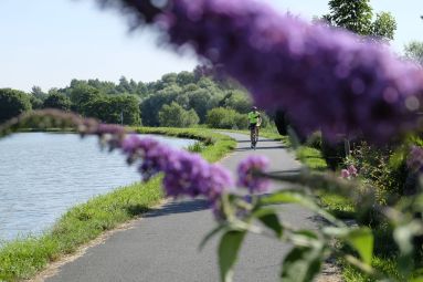 J. Lauer / Sarreguemines Tourisme