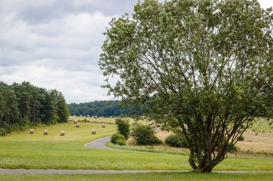 CTurpin - Sarreguemines Tourisme