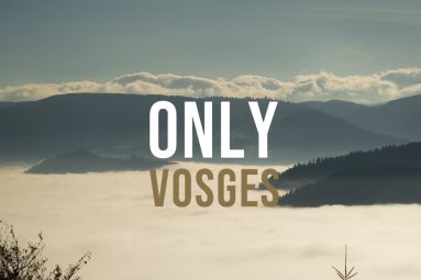 ONLY VOSGES