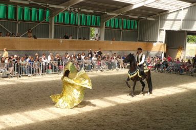 EquiDanse