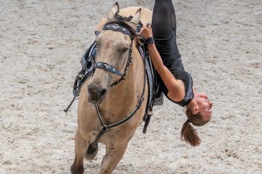 EquiDanse