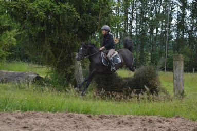 Ecole équitation Saint-Avold