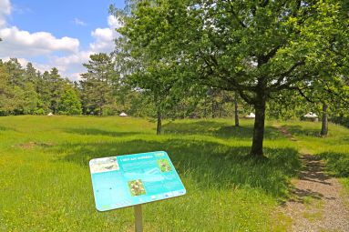© Tourisme Grand Verdun / Marie JACQUINET