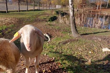 Bergerie des 2 sources