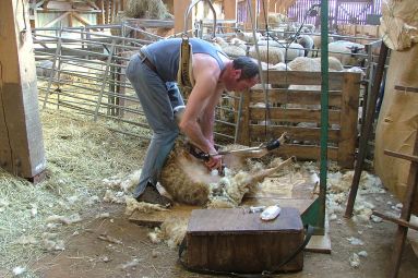 Bergerie de Straiture