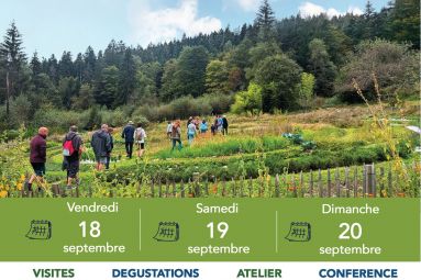 Association Bleu Vert Vosges
