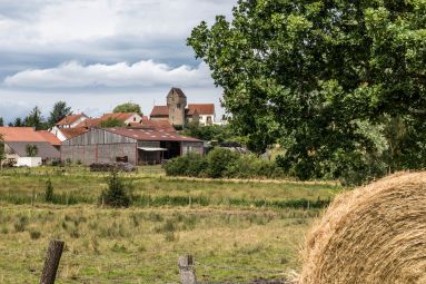 Les Carnets de Moselle Est