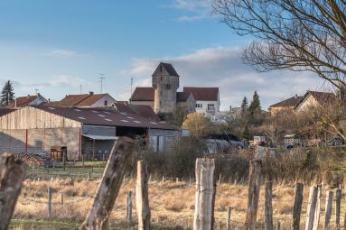 Les Carnets de Moselle Est