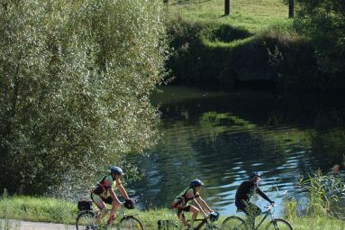 Sarreguemines Tourisme