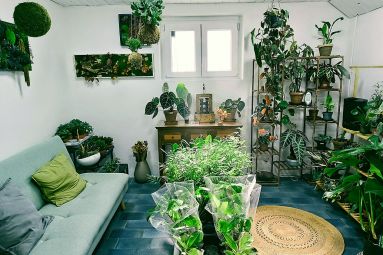 Foret de verre - Woustviller