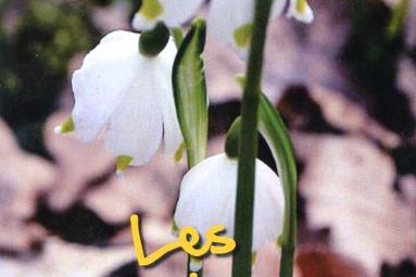 Sentiers des Deuilles