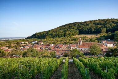 Christopher Arnoldi - Terroir Moselle