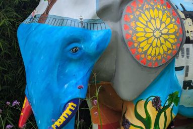 MDT - Pauline Louyot