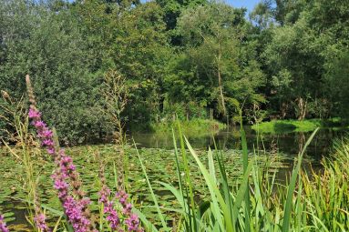 Sarah Beck - MDT Terres Touloises