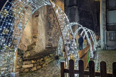 Pauline Louyot - MDT Terres Touloises
