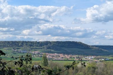 Pauline Louyot - MDT Terres Touloises