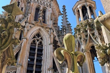 Pauline Louyot - MDT Terres Touloises
