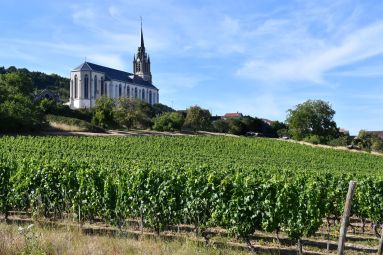 Domaine Laroppe