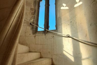 Pauline Louyot - MDT Terres Touloises