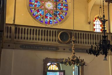 Pauline Louyot - MDT Terres Touloises