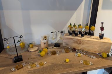 Pauline Louyot - MDT Terres Touloises