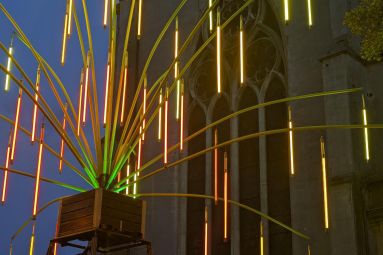 Pauline Louyot - MDT Terres Touloises