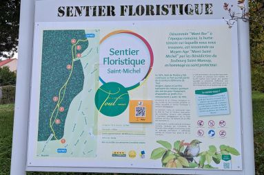 Pauline Louyot - MDT Terres Touloises