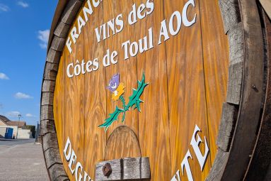 Pauline Louyot - Maison du Tourisme Terres Touloises