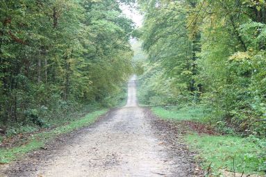 Chemin du Bois-le-prêtre - A Stevan - ADT 54