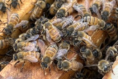 Photo de Brad Weaver sur Unsplash