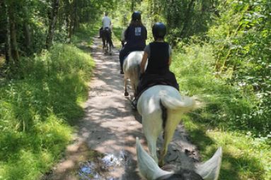Ferme Équestre du Vieux Fey /Facebook