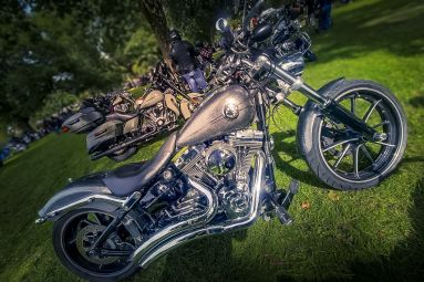 Crazy American-Official