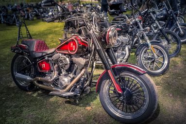 Crazy American-Official