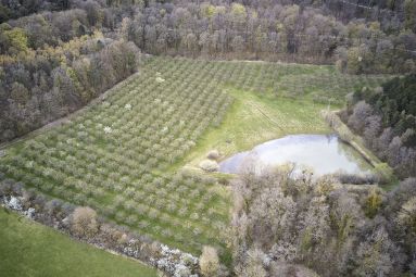 La Ferme des Prun'Elles