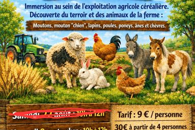 SCEA du Friscaty