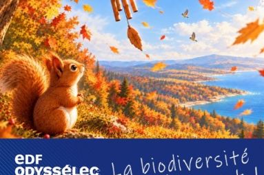 EDF Odyssélec Blénod