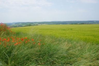 OT Mirecourt