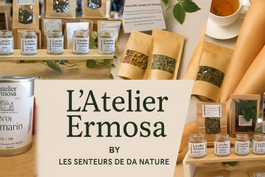 L'Atelier Ermosa by LSN