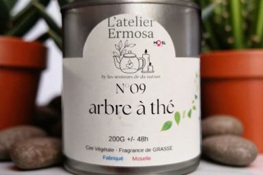 L'Atelier Ermosa by LSN