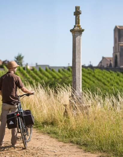 n cycliste de randonnée regardant un vignoble à droite.