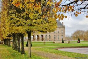 Le Domaine Départemental du Château de Lunéville en Meurthe et Moselle à l'automne : on voit au premier plan des feuillages colorés.