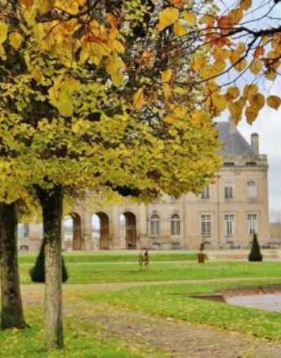 Le Domaine Départemental du Château de Lunéville en Meurthe et Moselle à l'automne : on voit au premier plan des feuillages colorés.