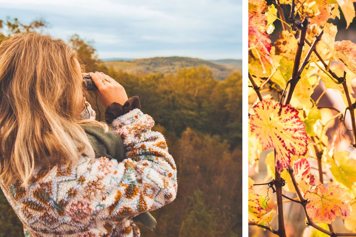 collage de deux images d'ambiance automnale en Meurthe-et-Moselle : à gauche on voit une femme qui scrute la nature à l'horizon avec des jumelles et à droite on voit des feuilles de vignes colorées à l'automne.