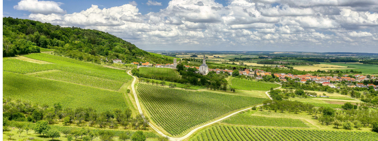 le village de Bruley en Meurthe-et-Moselle dans la zone de l'AOC Côtes de Toul. Au premier plan, un vignoble